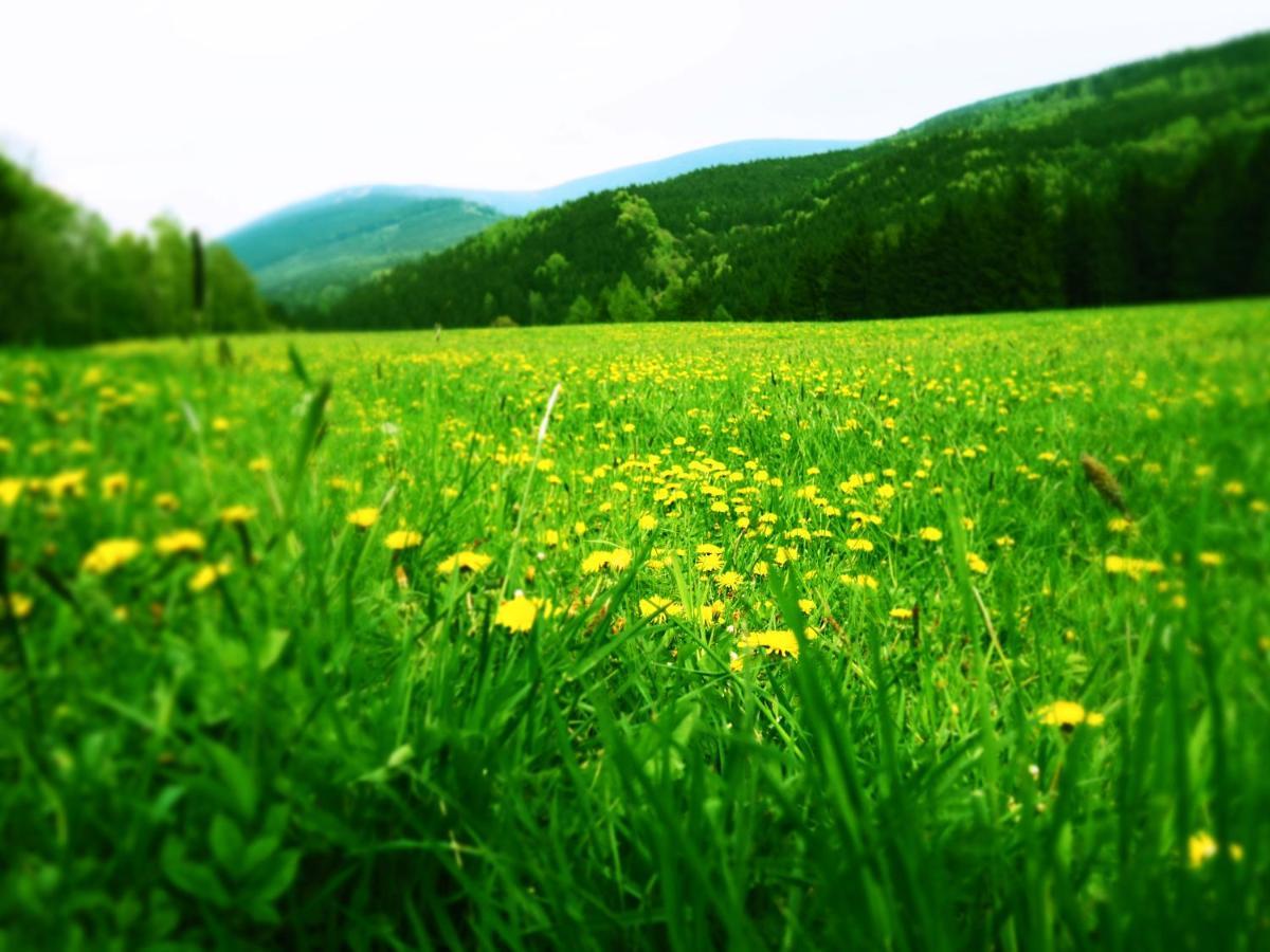 A Pousada Srub U Lanovky Ramzová Exterior foto